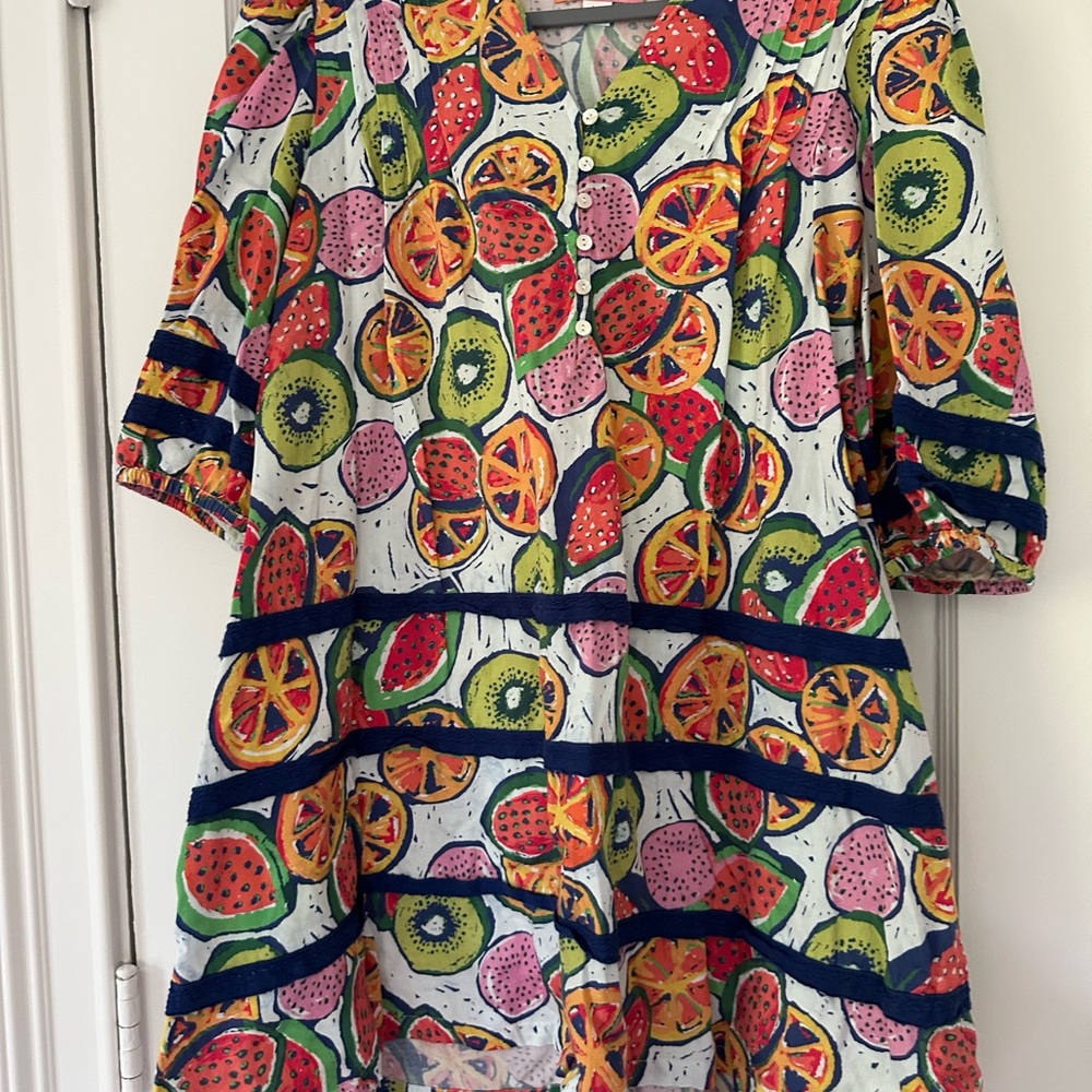 Briton Court Puff Sleeve Dress in Fruit Cup